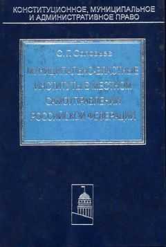 Сергей Соловьев - Муниципально-властные институты в местном самоуправлении Российской Федерации