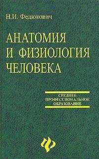 Н. Федюкович - Анатомия и физиология человека: Учебное пособие.