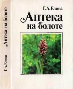 Галина Елина - Аптека на болоте