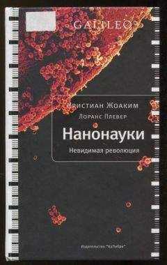 Кристиан Жоаким - Нанонауки. Невидимая революция