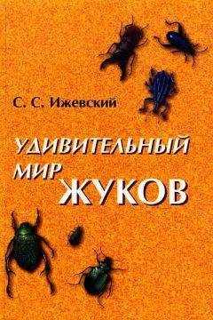 Сергей Ижевский - Удивительный мир жуков