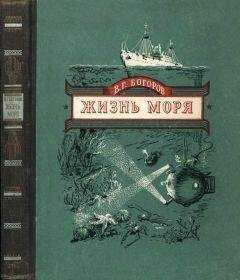 Венианим Богоров - Жизнь моря