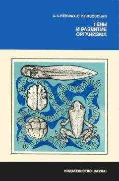 Александр Нейфах - Гены и развитие организма