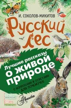 Иван Соколов-Микитов - Русский лес. С вопросами и ответами для почемучек