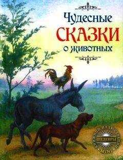 Якоб Гримм - Чудесные сказки о животных