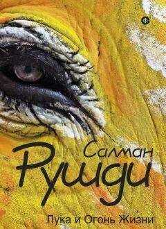 Салман Рушди - Лука и огонь жизни