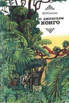 Василий Елисеев - По джунглям Конго (Записки геолога)