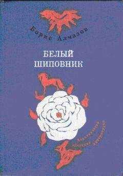 Борис Алмазов - Самый красивый конь (с иллюстрациями)