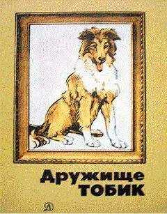 Виктор Конецкий - Петька, Джек и мальчишки