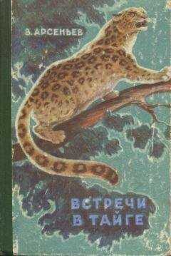 Владимир Арсеньев - Встречи в тайге