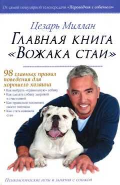 Цезарь Миллан - Главная книга 