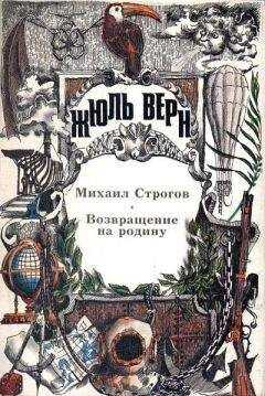 Жюль Верн - Возвращение на родину