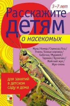 Э. Емельянова - Расскажите детям о насекомых