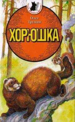Олег Трушин - Хорюшка