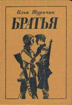 Илья Туричин - Братья
