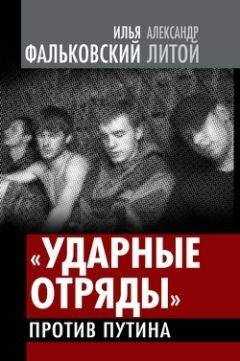 Илья Фальковский - Гражданская война уже началась