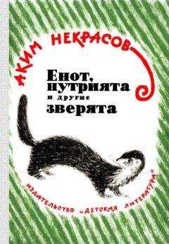 Аким Некрасов - Енот, нутрията и другие зверята