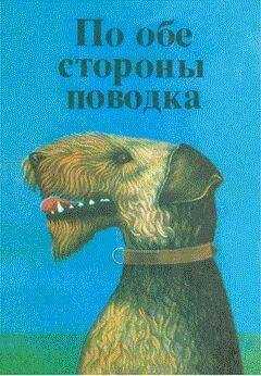 Бруно Травен - Душа собаки