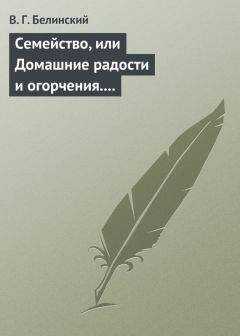 Виссарион Белинский - Семейство, или Домашние радости и огорчения. Роман шведской писательницы Фредерики Бремер…