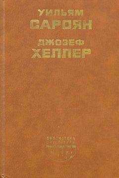 Джозеф Хеллер - Поправка-22
