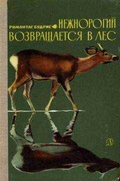 Римантас Будрис - Нежнорогий возвращается в лес
