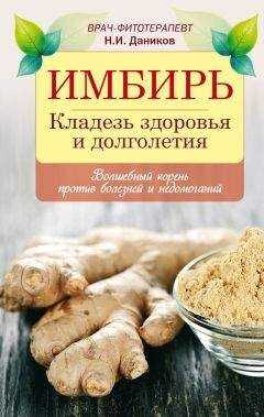 Николай Даников - Имбирь. Кладезь здоровья и долголетия