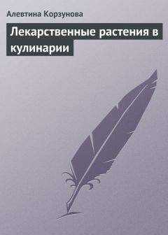 Алевтина Корзунова - Лекарственные растения в кулинарии