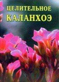 Иван Дубровин - Целительное каланхоэ