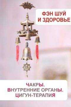 Илья Мельников - Фэн-шуй и здоровье. Чакры. Внутренние органы. Цигун-терапия