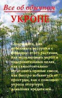 Иван Дубровин - Все об обычном укропе