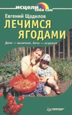 Евгений Щадилов - Лечимся ягодами. Дача — вылечит, дача — исцелит