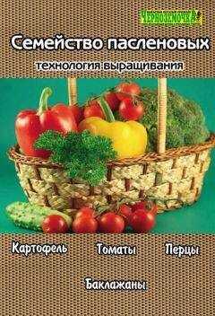 А. Панкратова - Семейство пасленовых. Технология выращивания