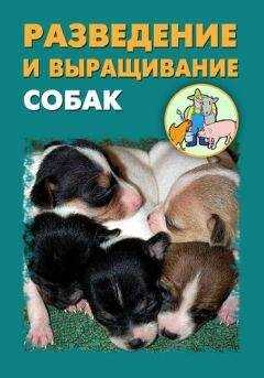 Александр Ханников - Разведение и выращивание собак