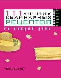 Ирина Константинова - 111 лучших кулинарных рецептов на каждый день