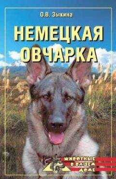 Ольга Зыкина - Немецкая овчарка