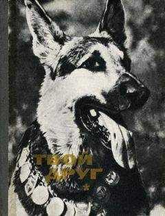 К. Глиер - Твой друг (Сборник по собаководству, 1973 г.)