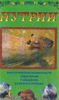 Дарья Нестерова - Нутрии