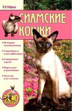 Ирина Иофина - Сиамские кошки