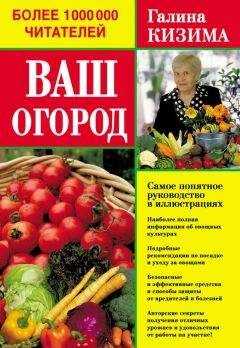 Галина Кизима - Ваш огород. Самое понятное руководство в иллюстрациях