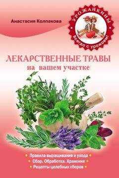 Анастасия Колпакова - Лекарственные травы вашем на участке