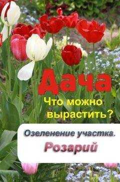 Илья Мельников - Что можно вырастить? Озеленение участка. Розарий