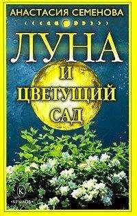 Анастасия Семенова - Луна и цветущий сад