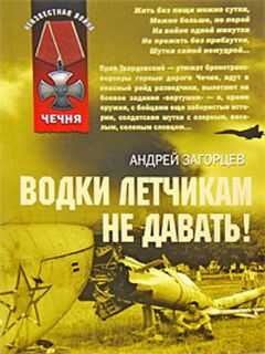 Андрей Загорцев - Водки летчикам не давать!