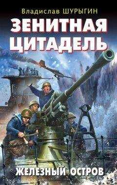 Владислав Шурыгин - Зенитная цитадель. «Не тронь меня!»