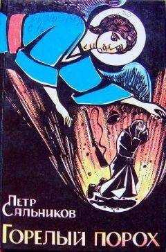 Петр Сальников - Горелый Порох