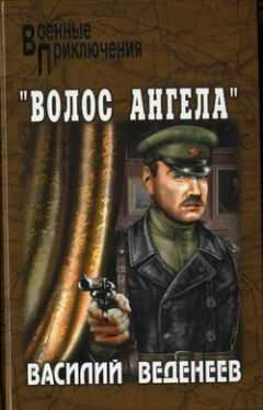 Василий Веденеев - «Волос ангела»
