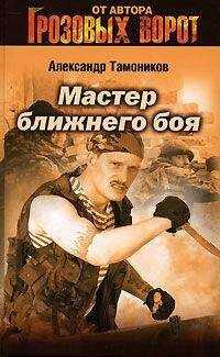 Александр Тамоников - Мастер ближнего боя