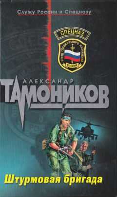 Александр Тамоников - Штурмовая Бригада