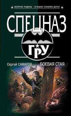 Сергей Самаров - Боевая стая