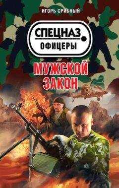 Игорь Срибный - Мужской закон